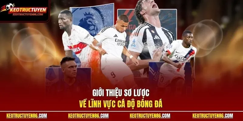 Giới thiệu sơ lược về lĩnh vực cá độ bóng đá