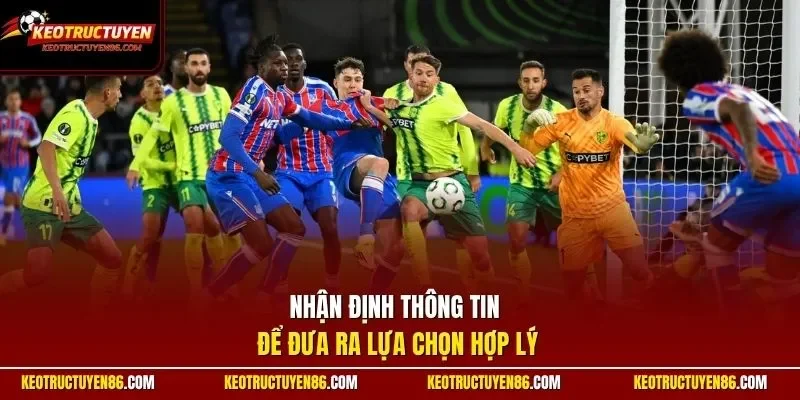 Nhận định thông tin để đưa ra lựa chọn hợp lý