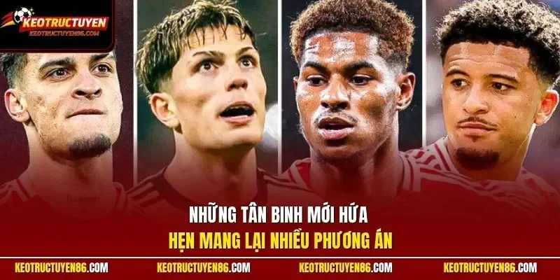 Những tân binh mới hứa hẹn mang lại nhiều phương án