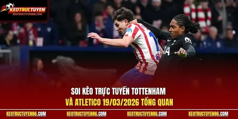 Soi kèo trực tuyến Tottenham và Atletico 19/03/2026 tổng quan