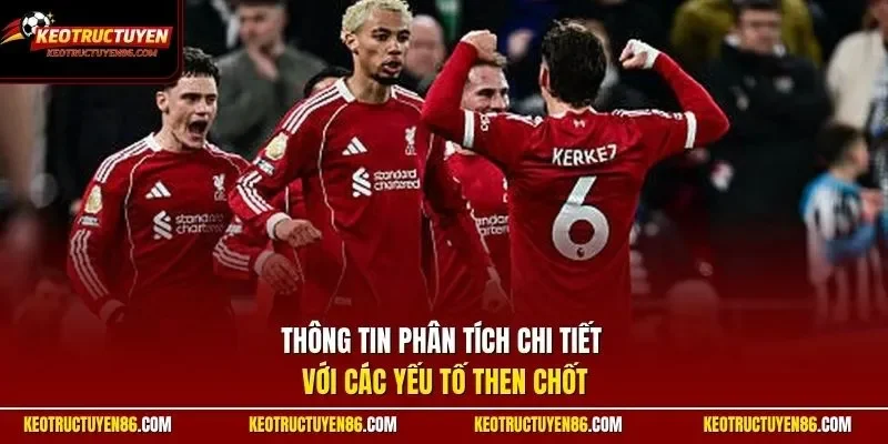 Thông tin phân tích chi tiết với  các yếu tố then chốt